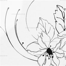 IRIS Декоративные плёнки IRIS 7118A White with black flower