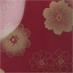 8348 Bordo daisy