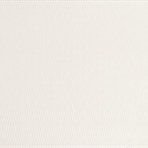 AC MOTION TWO White (plain)
