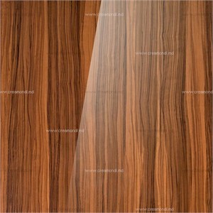 Formica Oiled Olivewood F5481 AB