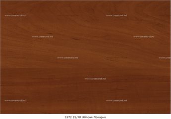 D1972PR Яблоня локарно