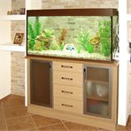  Furniture for home Stand for the aquarium